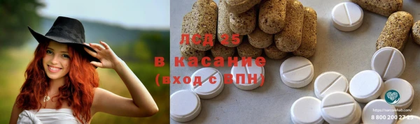 гидропоника Каменка