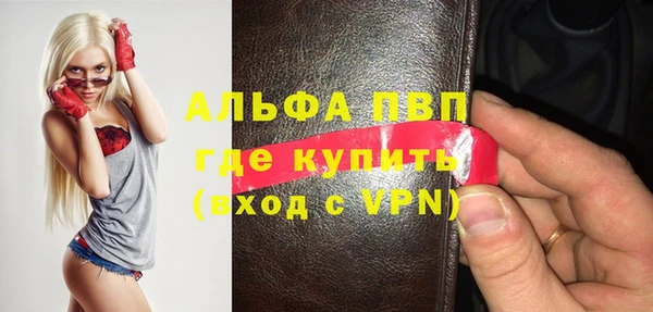 ешки Каменногорск