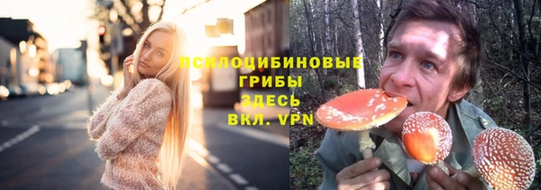 ешки Каменногорск